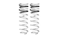 EIBACH E303506202 Pro-Lift-Kit Springs (Rear Springs