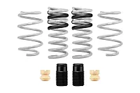 EIBACH E323502901 Drag-Launch Kit (Performance Spring
