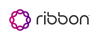 RIBBON COMMUNICATIONS 2900-RMKIT-ACC Rack Mount Kit For The 2900E Or 2900A Se
