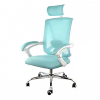 Elama Full Back Mesh Adjustable Office Chair with Headrest in Blue with White Fr
