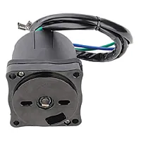 EMP 30055544 Trim Motor