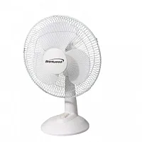 Kool Zone 12" Oscillating Desk Fan- White
