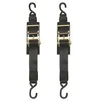 Boatbuckle Heavy Duty Ratchet Transom Tie- Downs (Pair)