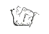 FORD M12508M50A Engine Harness 5.0L Tivct Automatic
