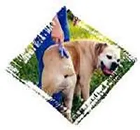 Furry Angels, Inc. Itchy Spot Scratcher, Small