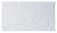 GENESIS PROD 569957 Pebble White 100&#039; Ceiling Kit