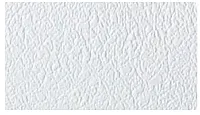 GENESIS PROD 569958 Arctic White 100&#039; Ceiling Kit