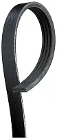 GATES CORP K040317SF V-Ribbed Belt