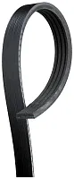 GATES CORP K040517 V-Ribbed Belt