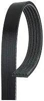 GATES CORP K050404 V-Ribbed Belt