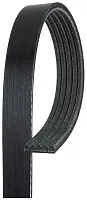 GATES CORP K050529 K05 21/32&#039; X 53 9/16&#039;