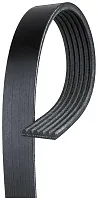 GATES CORP K060870 V-Ribbed Belt