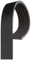 GATES CORP K060919A V-Ribbed Belt
