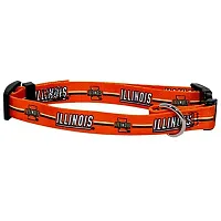 Hunter Illinois Fighting Illini Pet Collar - Medium