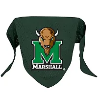 Hunter Marshall Pet Mesh Bandana - Small