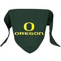 Hunter Oregon Ducks Pet Mesh Bandana - Small
