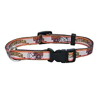 Hunter Pittsburgh Pirates Dog Collar - Medium