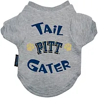 Hunter Pittsburgh Panthers Tail Gater Tee Shirt - Large