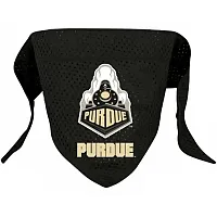 Hunter Purdue Boilermakers Pet Mesh Bandana - Small