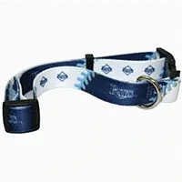 Hunter Tampa Bay Rays Dog Collar - Medium