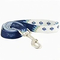 Hunter Tampa Bay Rays Dog Leash