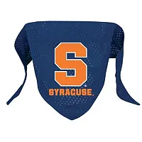 Hunter Syracuse Orange Pet Mesh Bandana - Small