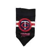Hunter Minnesota Twins Mesh Dog Bandana - Small