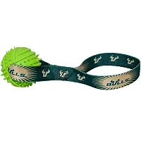 Hunter South Florida Bulls Rubber Ball Toss Toy