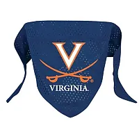 Hunter Virginia Cavaliers Pet Mesh Bandana - Small