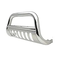 ICONIC ACCES 1310363 Bull Bar W/Brushed Skid Plate