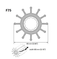 JOHNSON PUMP 09821BT1 Impeller Kit F75 W Thread Mc 97