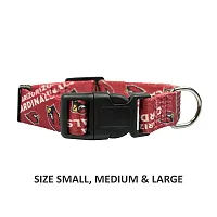 Little Earth Productions Arizona Cardinals Pet Nylon Collar - Medium