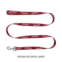 Little Earth Productions Arkansas Razorbacks Pet Nylon Leash - Large