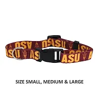 Little Earth Productions Arizona State Sun Devils Pet Nylon Collar - XS