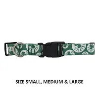 Little Earth Productions Boston Celtics Pet Nylon Collar - XS