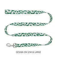 Little Earth Productions Boston Celtics Pet Nylon Leash - Large