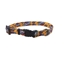Little Earth Productions Cleveland Cavaliers Pet Nylon Collar - Medium