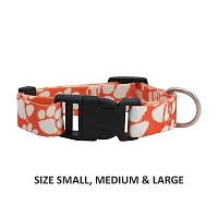 Little Earth Productions Clemson Tigers Pet Nylon Collar - XS