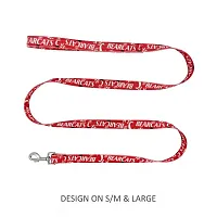 Little Earth Productions Cincinnati Bearcats Pet Nylon Leash - Large