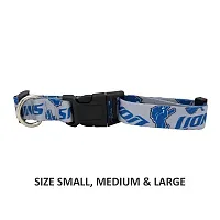 Little Earth Productions Detroit Lions Pet Nylon Collar - Medium
