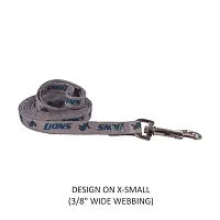 Little Earth Productions Detroit Lions Pet Nylon Leash - XS