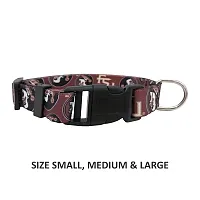 Little Earth Productions Florida State Seminoles Pet Nylon Collar - Large