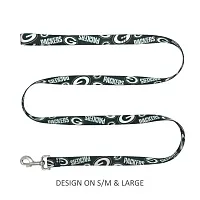 Little Earth Productions Green Bay Packers Pet Nylon Leash - Large