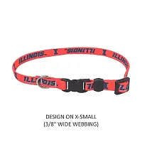 Little Earth Productions Illinois Fighting Illini Pet Nylon Collar - XS