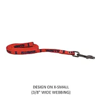 Little Earth Productions Illinois Fighting Illini Pet Nylon Leash - XS
