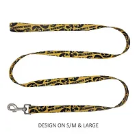 Little Earth Productions Iowa Hawkeyes Pet Nylon Leash - Large