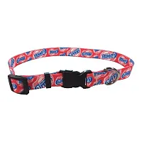 Little Earth Productions Los Angeles Clippers Pet Nylon Collar - Medium