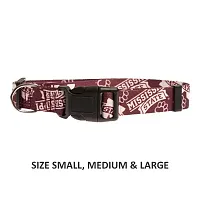Little Earth Productions Mississippi State Bulldogs Pet Nylon Collar - Medium