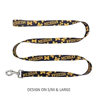 Little Earth Productions Michigan Wolverines Pet Nylon Leash - Large