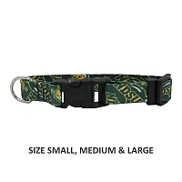 Little Earth Productions North Dakota State Bison Pet Nylon Collar - Small